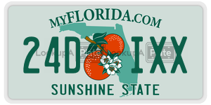 24DIXX  license plate in FL