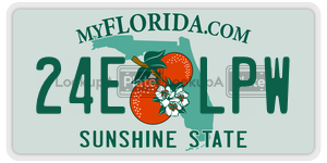 24ELPW  license plate in FL