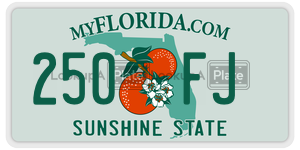 250FJ license plate in Florida