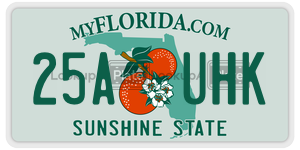 25AUHK license plate in Florida