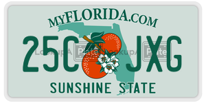 25CJXG  license plate in FL