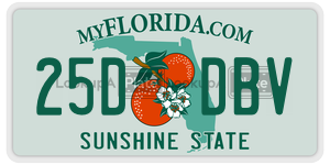 25DDBV license plate in Florida