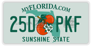 25DPKF  license plate in FL