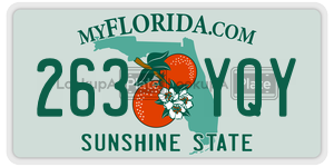 263YQY  license plate in FL