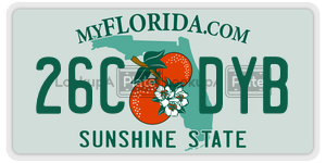 26CDYB  license plate in FL