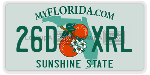 26DXRL  license plate in FL