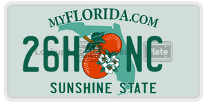 26HNC  license plate in FL