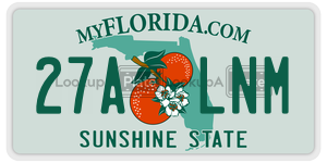 27ALNM license plate in Florida