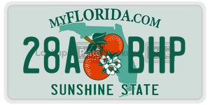 28ABHP license plate in Florida