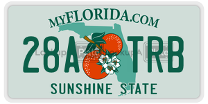 28ATRB license plate in Florida
