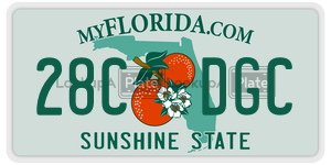 28CDGC license plate in Florida