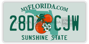 28DCJW  license plate in FL