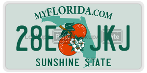 28EJKJ license plate in Florida