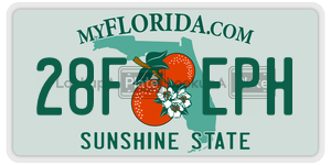 28FEPH  license plate in FL