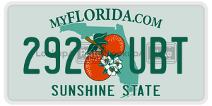 292UBT  license plate in FL