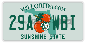 29AWBI license plate in Florida