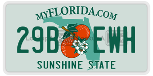 29BEWH  license plate in FL