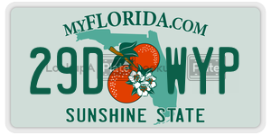 29DWYP license plate in Florida