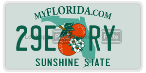 29ERY  license plate in FL