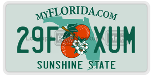 29FXUM  license plate in FL