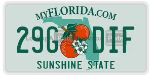 29GDIF  license plate in FL