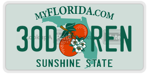30DREN  license plate in FL