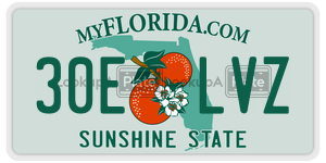 30ELVZ  license plate in FL