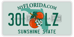 30LLZ  license plate in FL