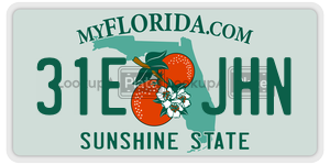 31EJHN  license plate in FL