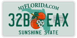 32BEAX  license plate in FL