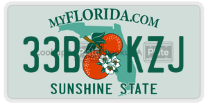 33BKZJ  license plate in FL