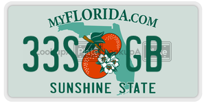 33SGB license plate in Florida