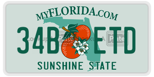 34BETD license plate in Florida