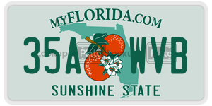35AWVB  license plate in FL