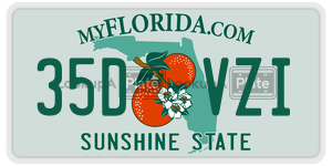 35DVZI  license plate in FL