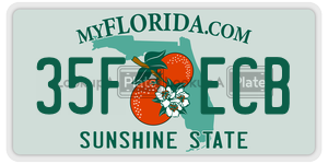 35FECB license plate in Florida