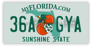 36AGYA license plate in Florida