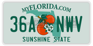36ANWV  license plate in FL