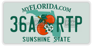 36ARTP  license plate in FL