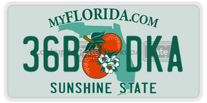 36BDKA  license plate in FL