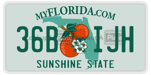 36BIJH  license plate in FL