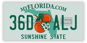 36DALJ license plate in Florida