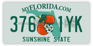 3761YK  license plate in FL