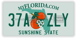 37AZLY  license plate in FL