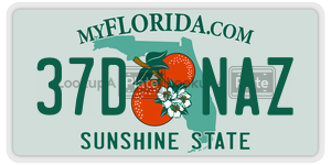 37DNAZ  license plate in FL