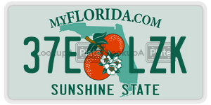 37ELZK license plate in Florida