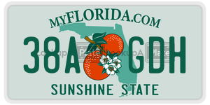38AGDH license plate in Florida