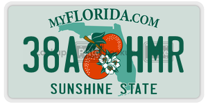 38AHMR  license plate in FL