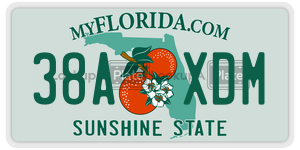 38AXDM  license plate in FL