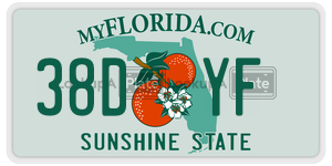 38DYF  license plate in FL